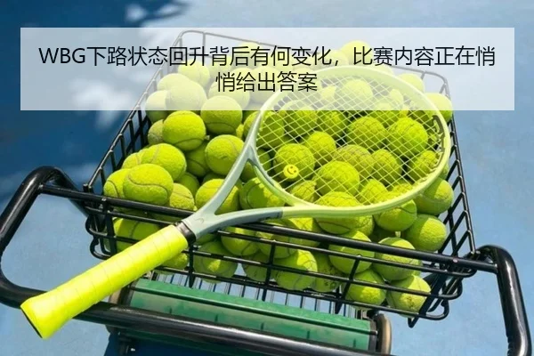 WBG下路状态回升背后有何变化，比赛内容正在悄悄给出答案